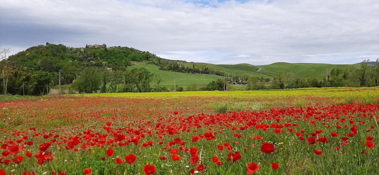 Podere Pian Dei Gelsi Volterra Buitenkant foto