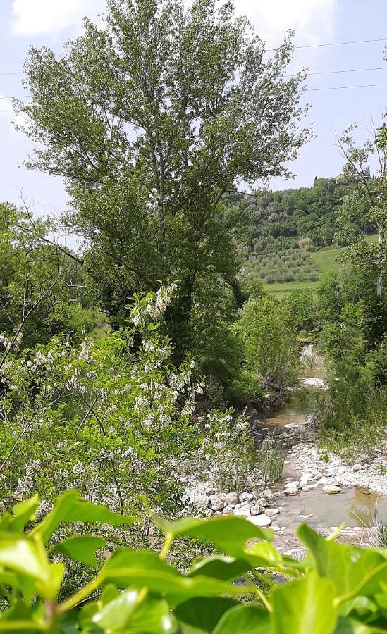 Podere Pian Dei Gelsi Volterra Buitenkant foto