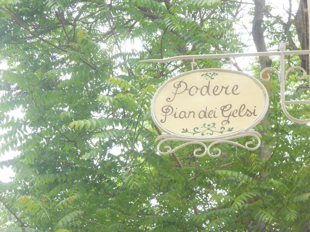 Podere Pian Dei Gelsi Volterra Buitenkant foto