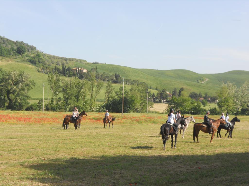 Podere Pian Dei Gelsi Volterra Buitenkant foto